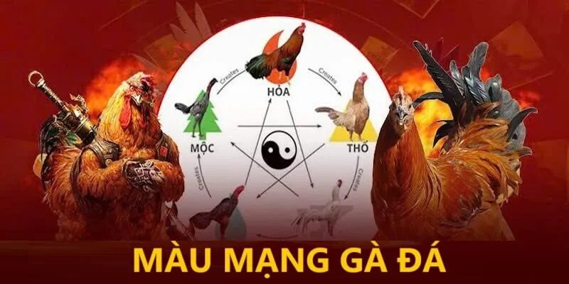 Không nên quá phụ thuộc vào một màu mạng duy nhất